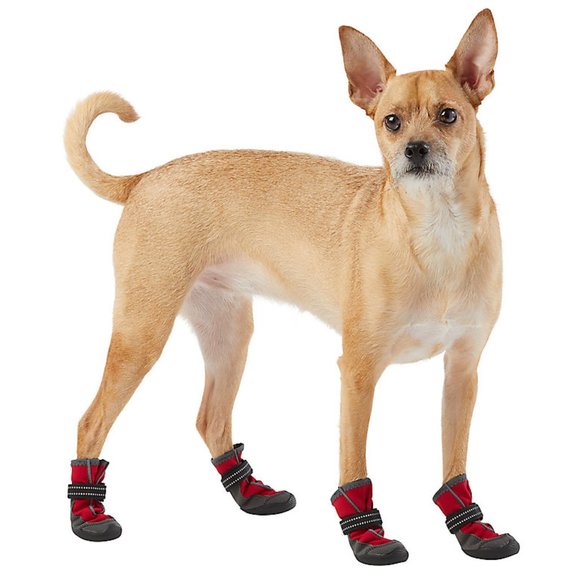 Top Paw Stylish Red and Gray Dog Boots - Picture 2 of 6